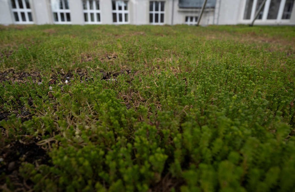 FOTO: Nové športovisko v areáli púchovského gymnázia, foto 12