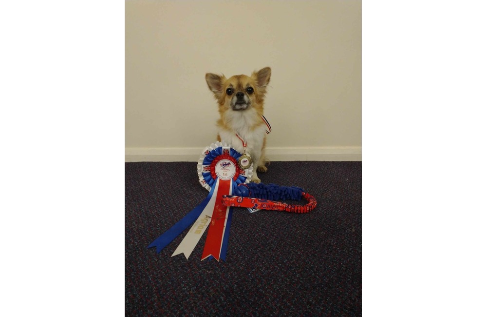 FOTO: Členky handlovského kynologického klubu boli na majstrovstvách sveta, foto 5