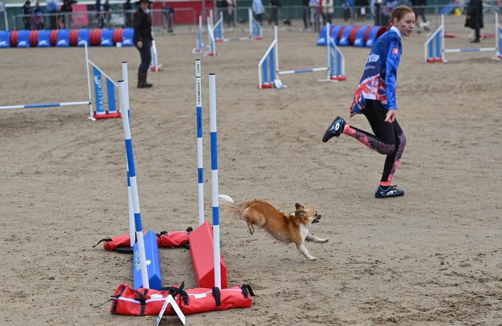 FOTO: Členky handlovského kynologického klubu boli na majstrovstvách sveta, foto 4