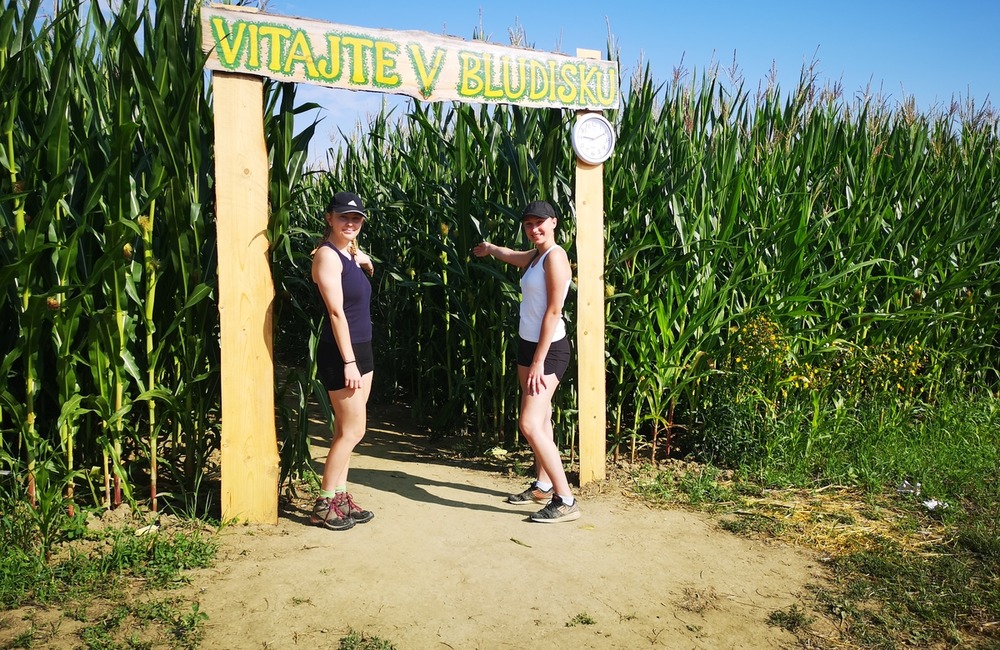 FOTO: Na hranici Trenčianskeho a Žilinského kraja sa dá ľahko stratiť. V kukurici tam opäť vyrástlo bludisko, foto 2