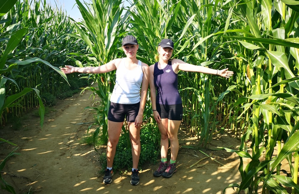 FOTO: Na hranici Trenčianskeho a Žilinského kraja sa dá ľahko stratiť. V kukurici tam opäť vyrástlo bludisko, foto 3