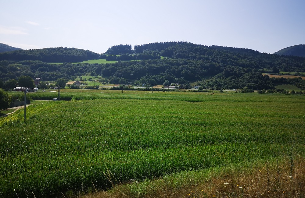 FOTO: Na hranici Trenčianskeho a Žilinského kraja sa dá ľahko stratiť. V kukurici tam opäť vyrástlo bludisko, foto 7