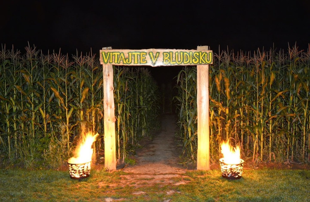 FOTO: Na hranici Trenčianskeho a Žilinského kraja sa dá ľahko stratiť. V kukurici tam opäť vyrástlo bludisko, foto 11