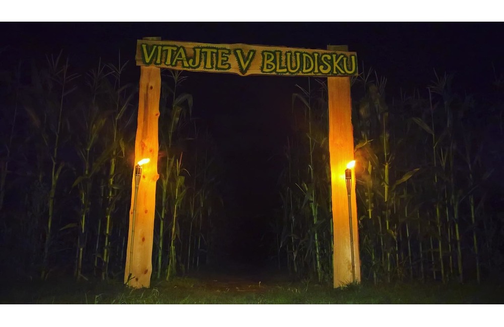 FOTO: Na hranici Trenčianskeho a Žilinského kraja sa dá ľahko stratiť. V kukurici tam opäť vyrástlo bludisko, foto 12