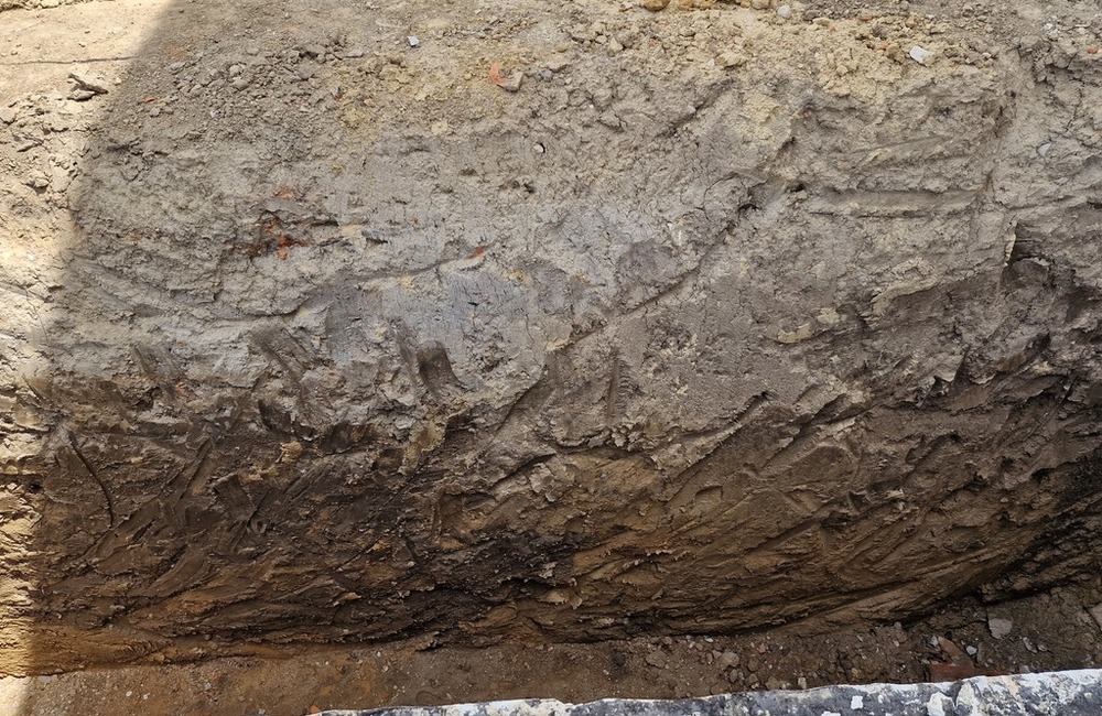 FOTO: Draškovičov kaštieľ sa stal náleziskom vzácnych artefaktov, foto 4