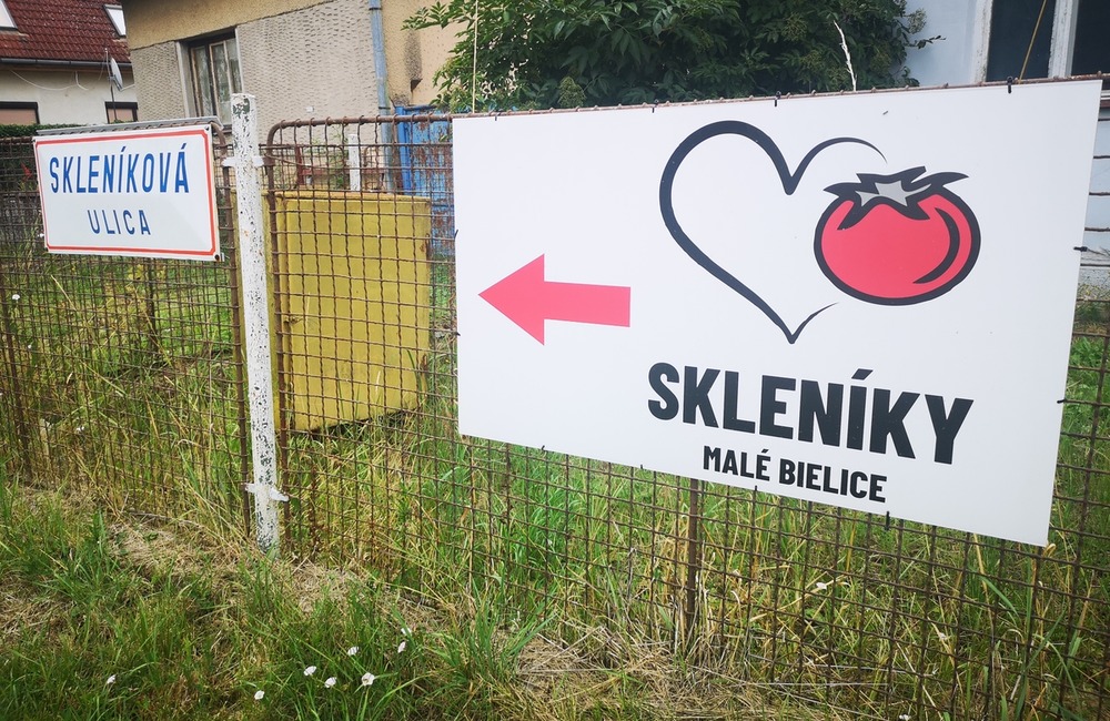 FOTO: Už ste počuli o samozbere rajčín? Natrafiť sa dá pri ňom aj na kus, ktorý nasýti celú rodinu, foto 18