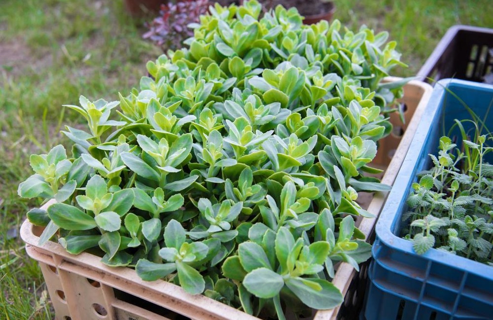 FOTO: Trenčianska župa schválila 54 ekologických projektov, foto 11