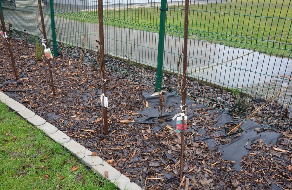 FOTO: Trenčianska župa schválila 54 ekologických projektov, foto 15