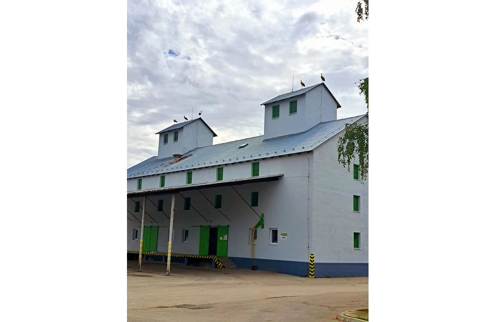 FOTO: Čaká obec na Považí nárast prírastkov? Zlietli sa tam bociany snáď z celého kraja, foto 3