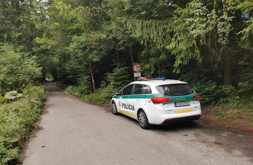 FOTO: Policajná akcia zameraná na kontrolu rybárov a ťažbu dreva, foto 2