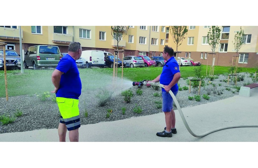 FOTO: Dobrovoľní hasiči sú v Považskej Bystrici oporou pri mnohých činnostiach, foto 2