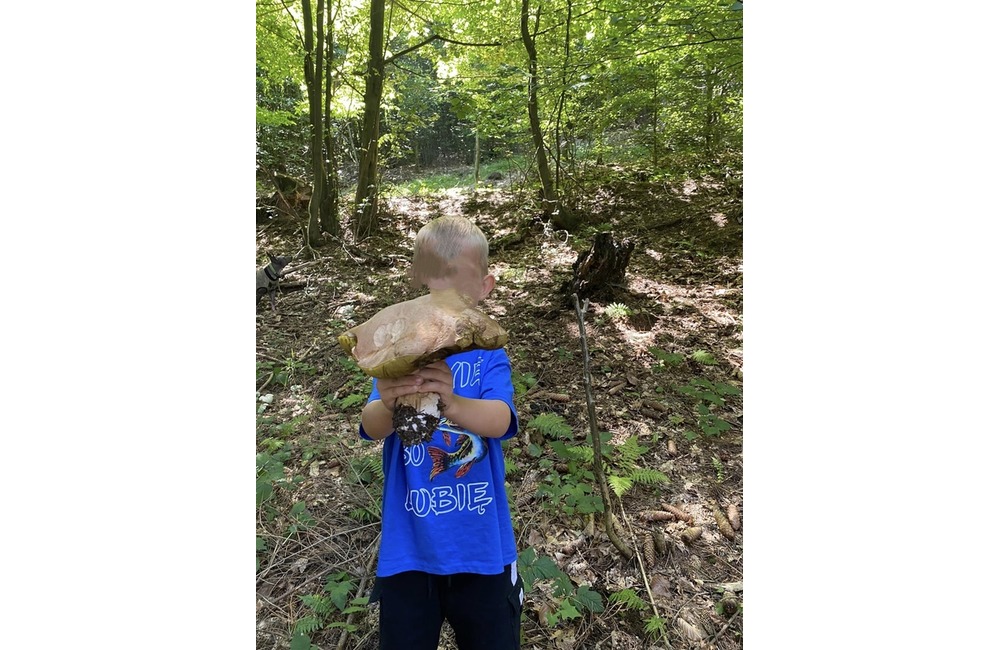 FOTO: Úlovky hubárov z Trenčianskeho kraja, foto 3