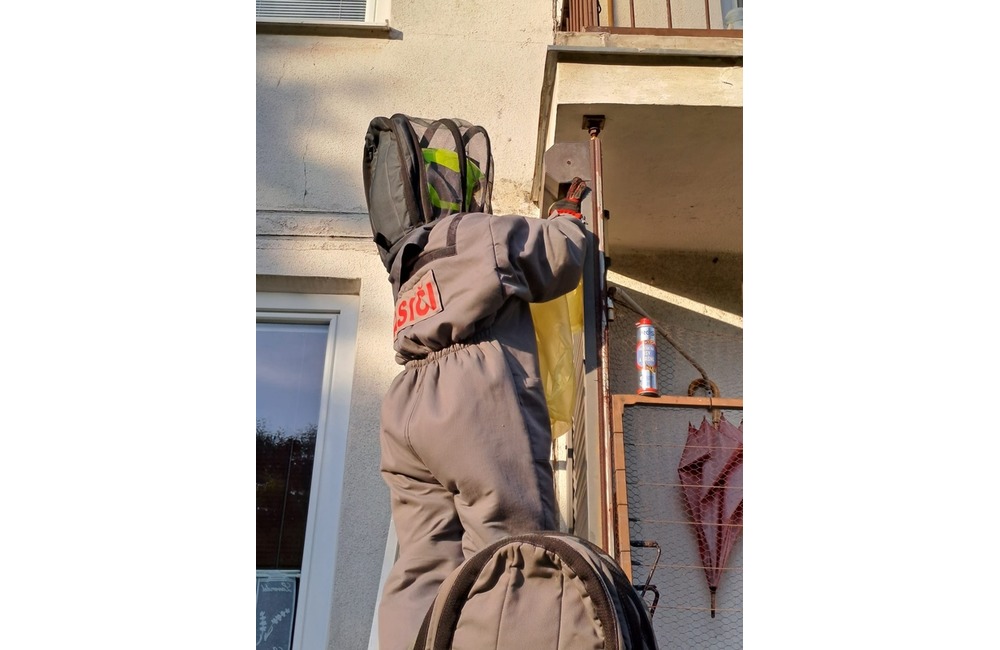 FOTO: Do bytovky v hornonitrianskej obci sa nasťahovali neželaní nájomníci. Privolali na nich miestnych hasičov, foto 5