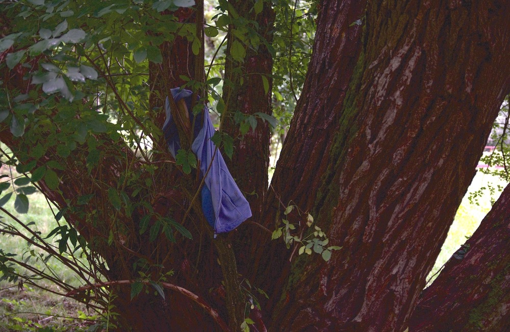 FOTO: Neporiadok v parku Východná, foto 3