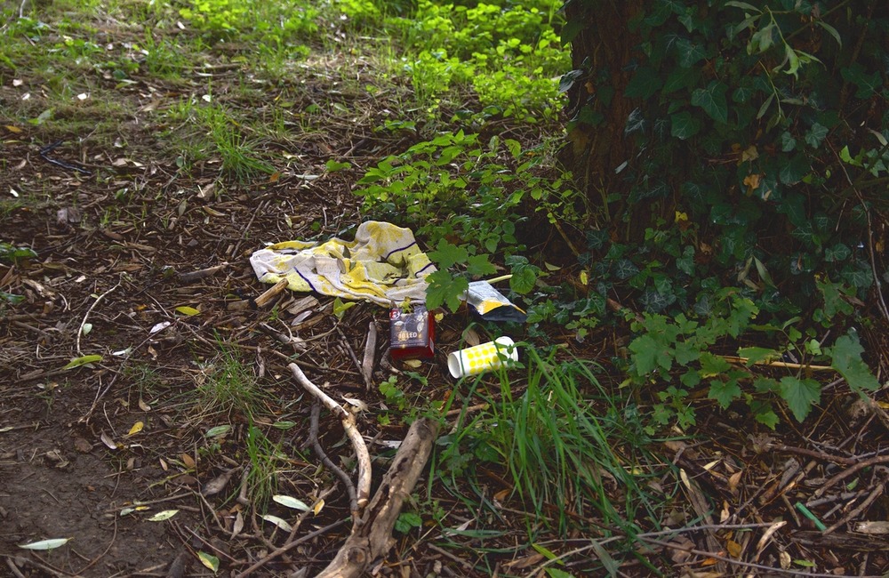 FOTO: Neporiadok v parku Východná, foto 4