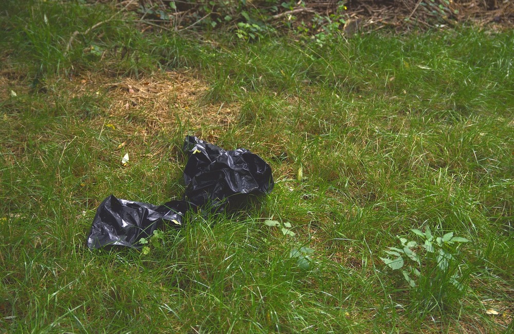 FOTO: Neporiadok v parku Východná, foto 5