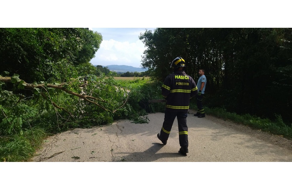 FOTO: Popadané stromy v okrese Myjava a Nové Mesto nad Váhom, foto 1
