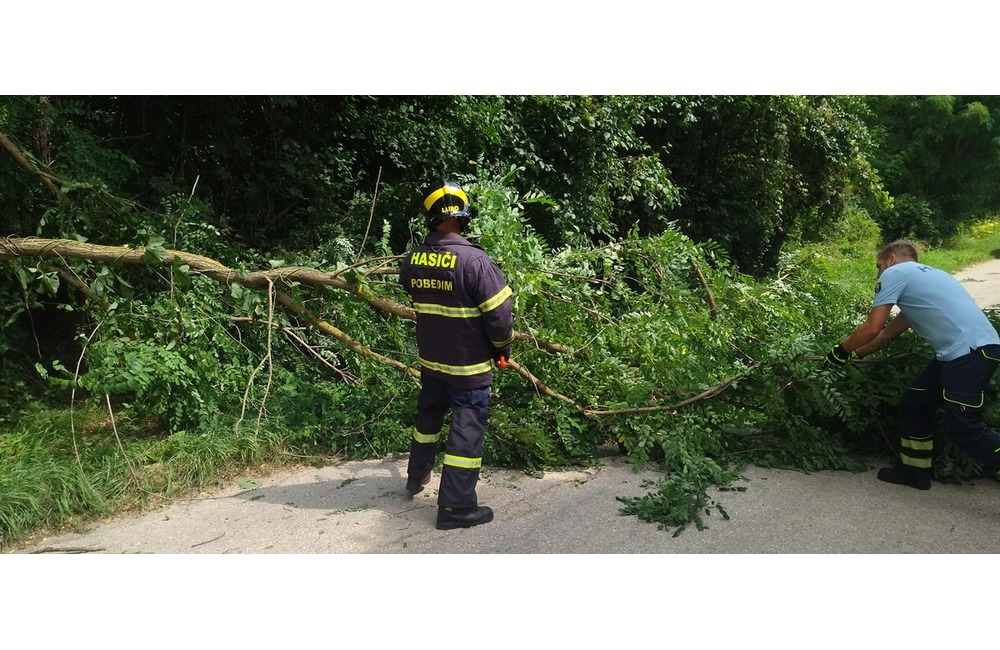 FOTO: Popadané stromy v okrese Myjava a Nové Mesto nad Váhom, foto 4