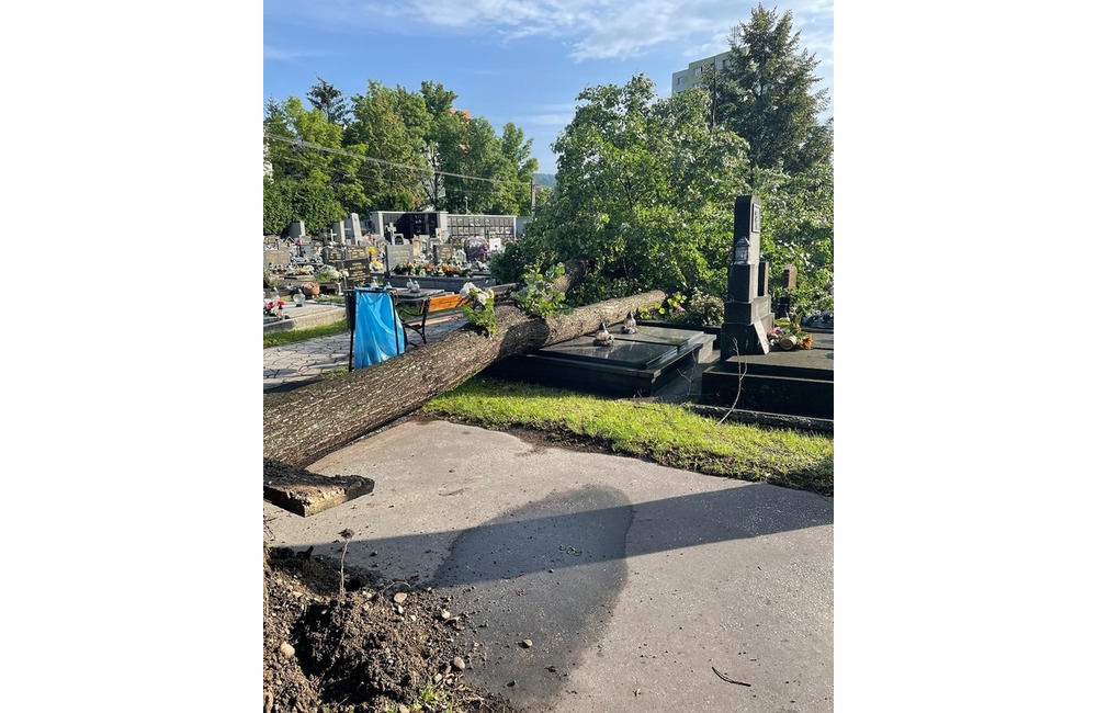 FOTO: Púchovský cintorín po nočnej kalamite, foto 3