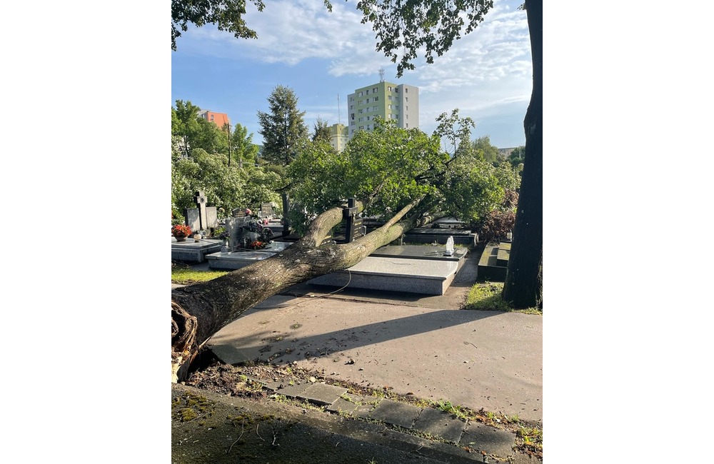 FOTO: Púchovský cintorín po nočnej kalamite, foto 4