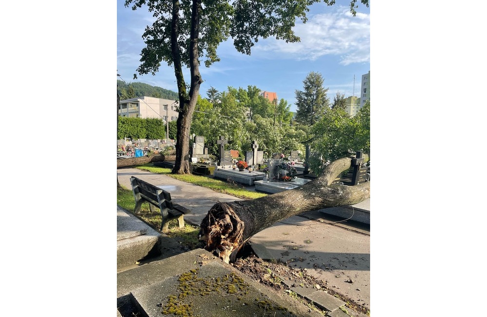 FOTO: Púchovský cintorín po nočnej kalamite, foto 5