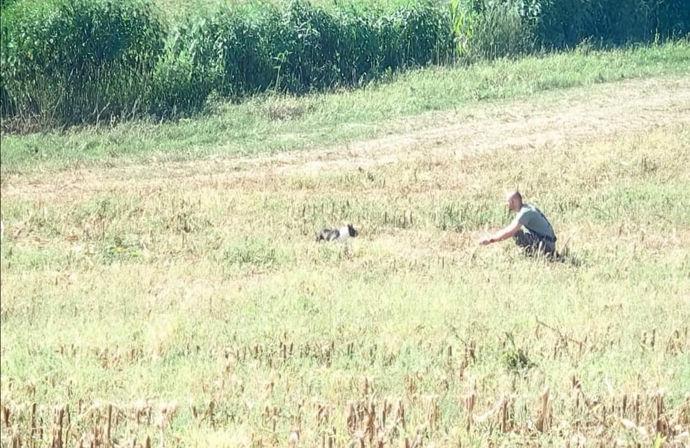 FOTO: Veľká pátracia akcia pri Trenčíne. Po šiestich dňoch sa stal doslova zázrak, foto 2