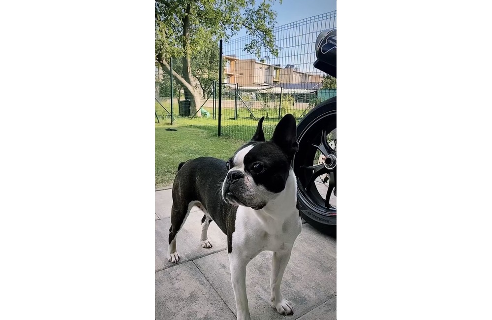 FOTO: Veľká pátracia akcia pri Trenčíne. Po šiestich dňoch sa stal doslova zázrak, foto 6