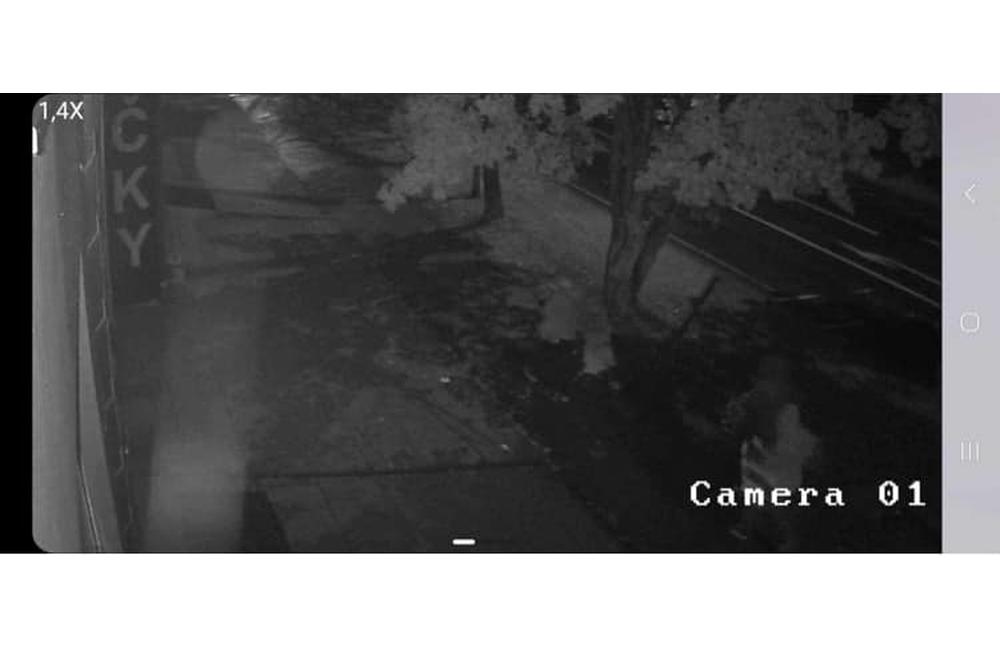 FOTO: Majitelia niekoľkých budov v Prievidzi neverili vlastným očiam. Čo sa nám to tu cez noc objavilo?, foto 4