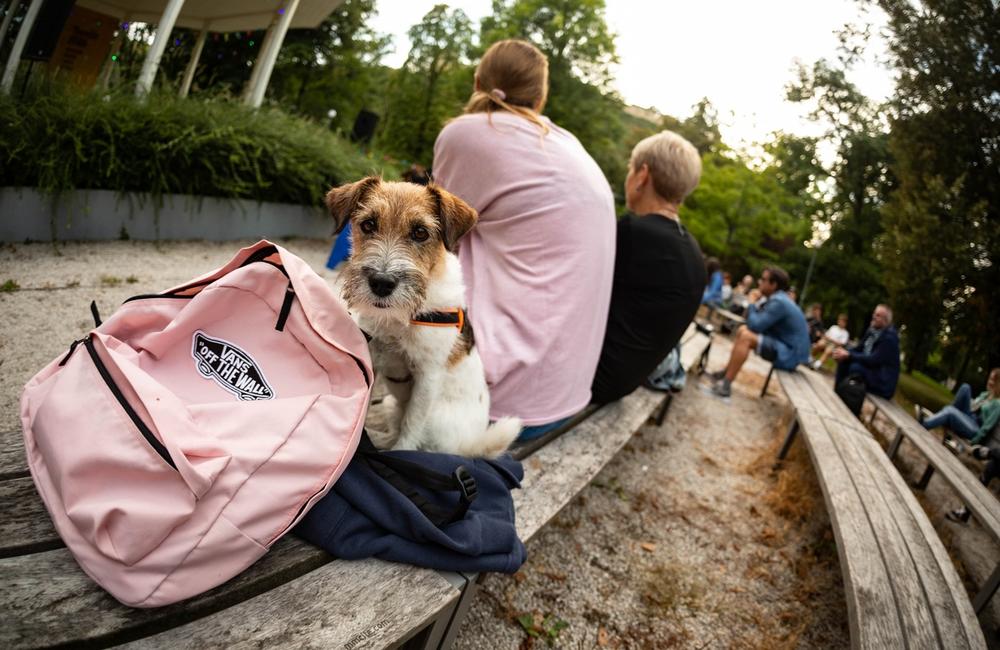 FOTO: Trenčiansky hudobný festival Garáž je v plnom prúde, foto 16