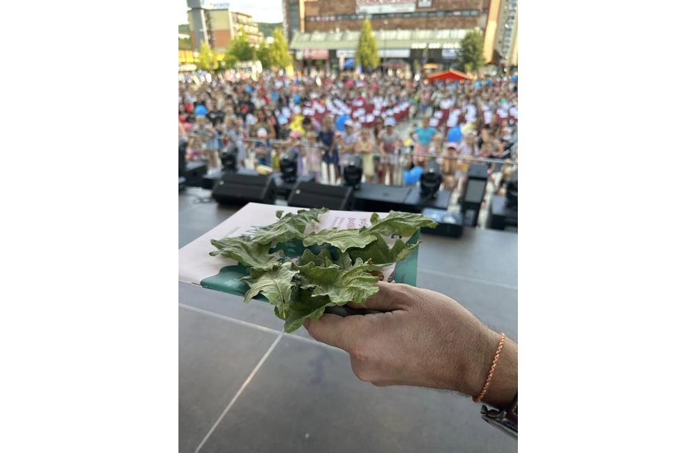 FOTO: 830. výročie prvej písomnej zmienky o Dubnici nad Váhom, foto 7