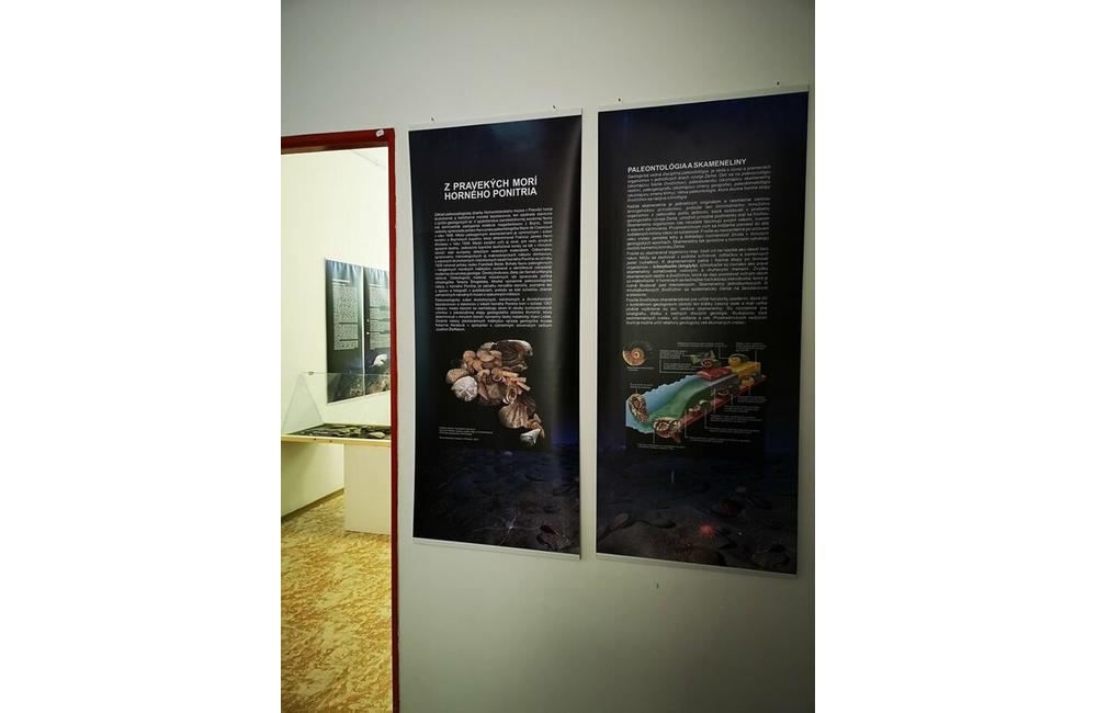 FOTO: Výstava Z pravekých morí horného Ponitria v Hornonitrianskom múzeu v Prievidzi, foto 16