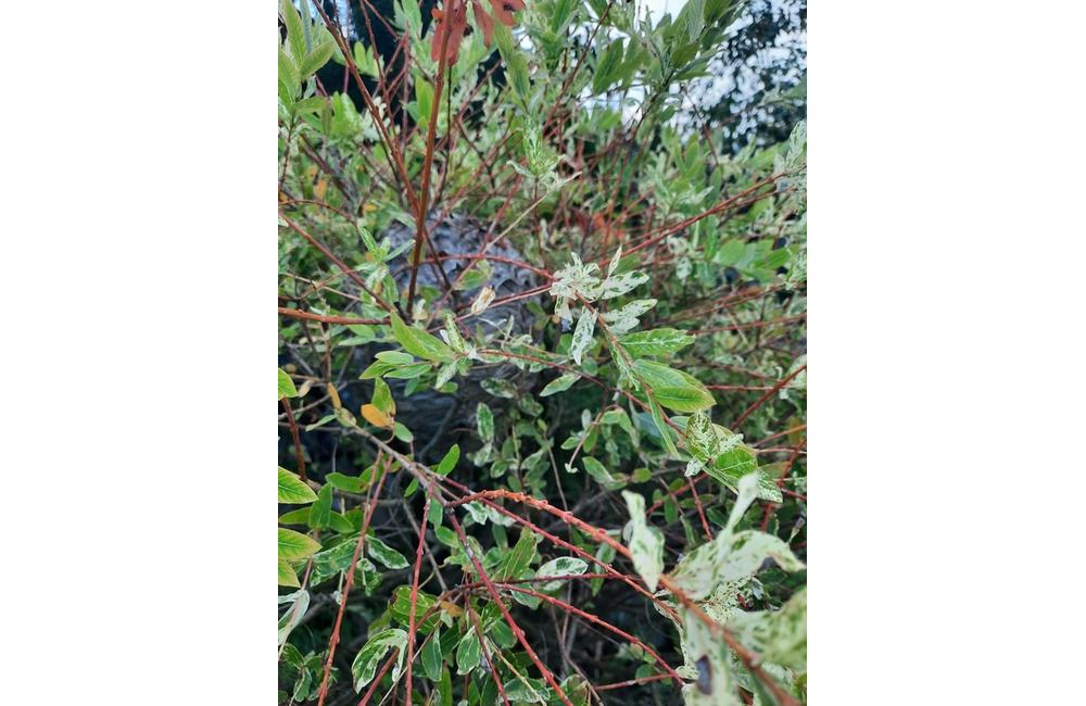 FOTO: Dve obce, rovnaký problém. Vyriešili to miestni dobrovoľní hasiči, foto 4