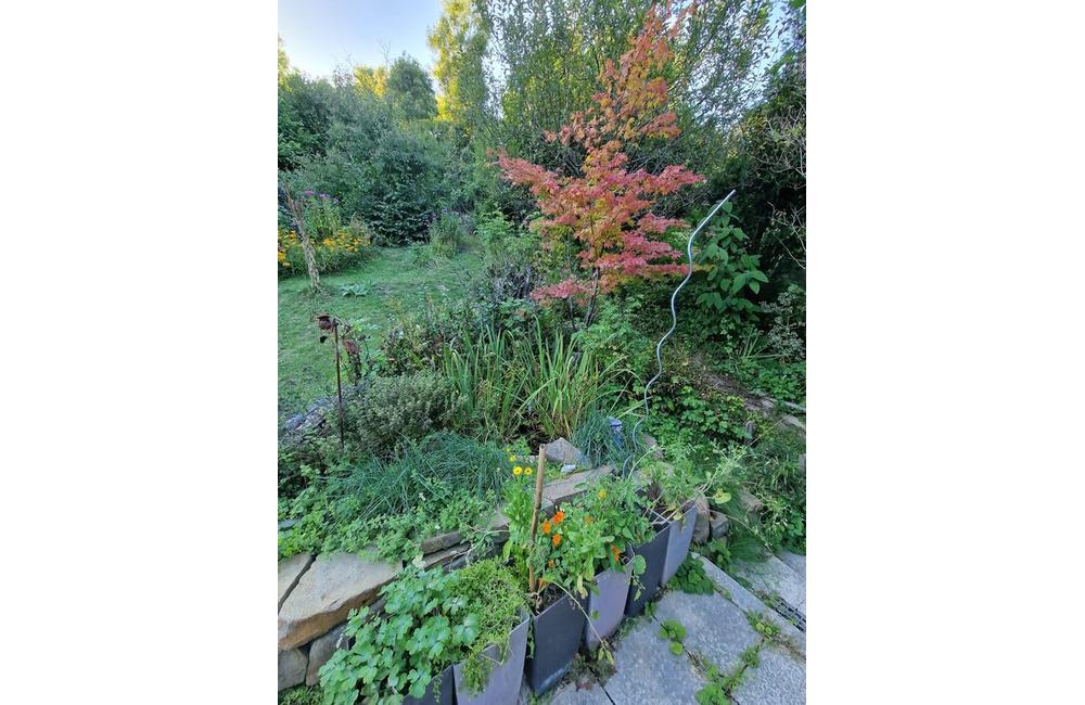 FOTO: Inšpirácia pre zelené aktivity Trenčianskej župy, foto 5