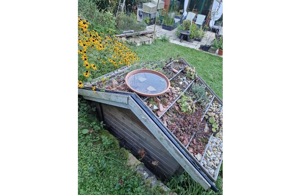 FOTO: Inšpirácia pre zelené aktivity Trenčianskej župy, foto 2