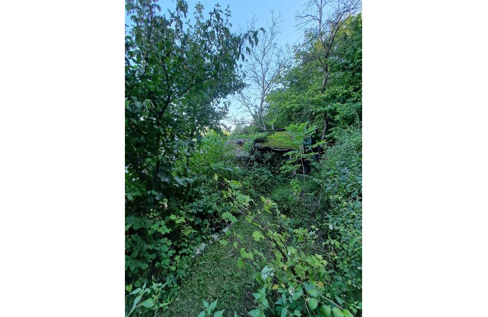 FOTO: Inšpirácia pre zelené aktivity Trenčianskej župy, foto 7