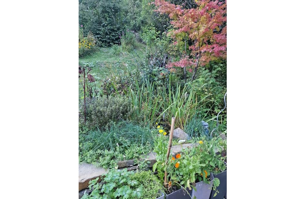 FOTO: Inšpirácia pre zelené aktivity Trenčianskej župy, foto 8