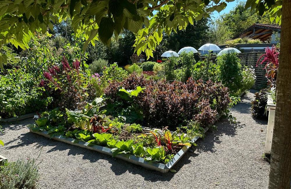 FOTO: Inšpirácia pre zelené aktivity Trenčianskej župy, foto 14