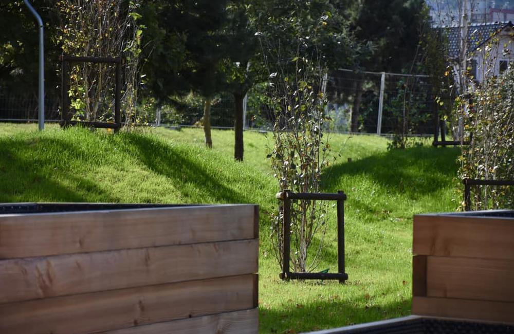 FOTO: Obnova ihrísk a vysádzanie zelene v Trenčíne, foto 3