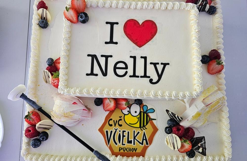 FOTO: Púchovské mažoretky sú majsterky sveta, foto 3