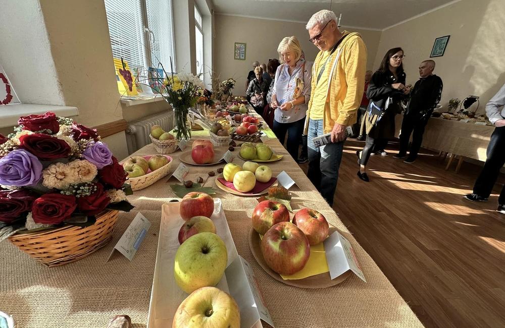 FOTO: Dubničania predviedli svoje záhradkárske skvosty, foto 5