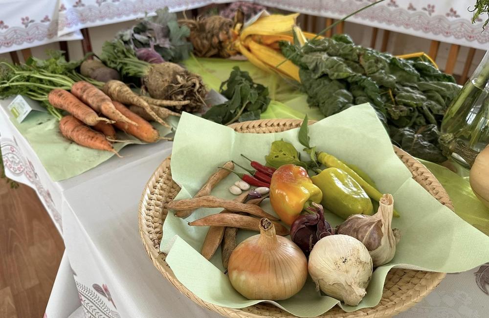 FOTO: Dubničania predviedli svoje záhradkárske skvosty, foto 8
