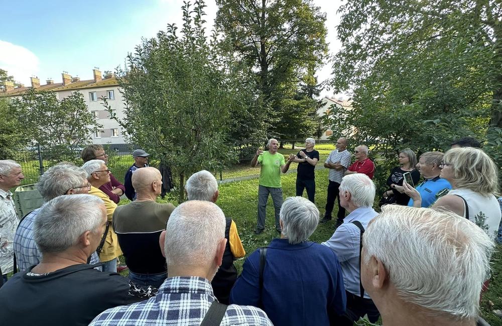 FOTO: Dubničania predviedli svoje záhradkárske skvosty, foto 16