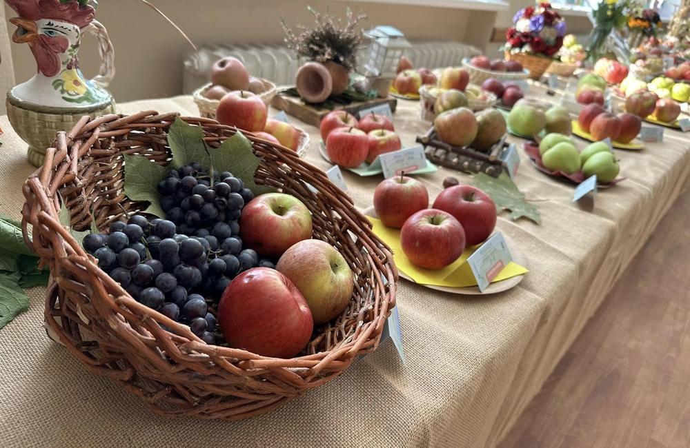 FOTO: Dubničania predviedli svoje záhradkárske skvosty, foto 18