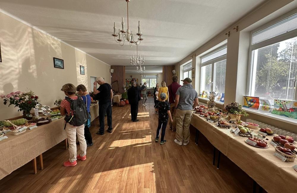FOTO: Dubničania predviedli svoje záhradkárske skvosty, foto 19
