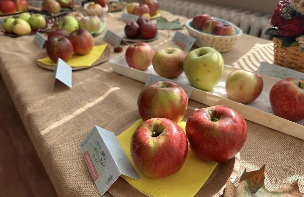 FOTO: Dubničania predviedli svoje záhradkárske skvosty, foto 31