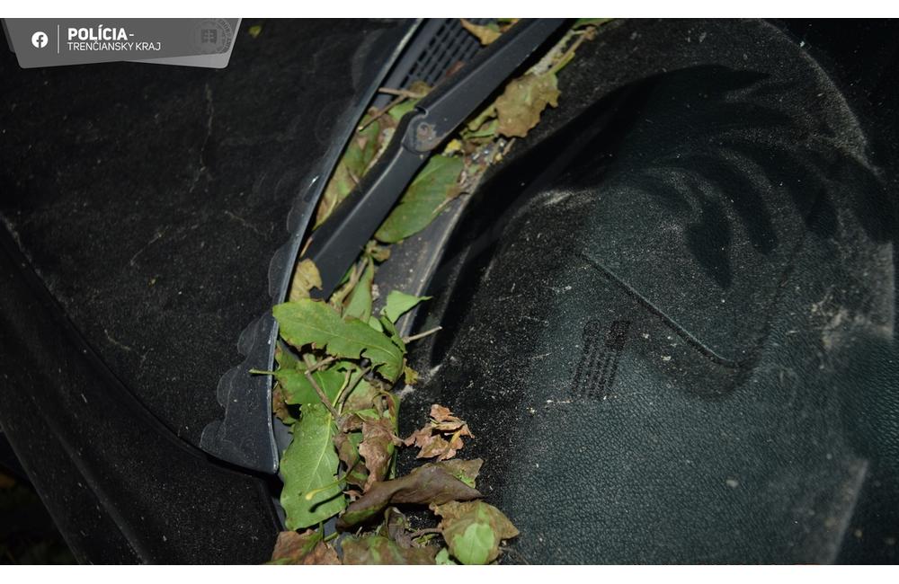 FOTO: Polícia našla pri Brezovej pod Bradlom auto zaparkované v kríkoch, foto 3