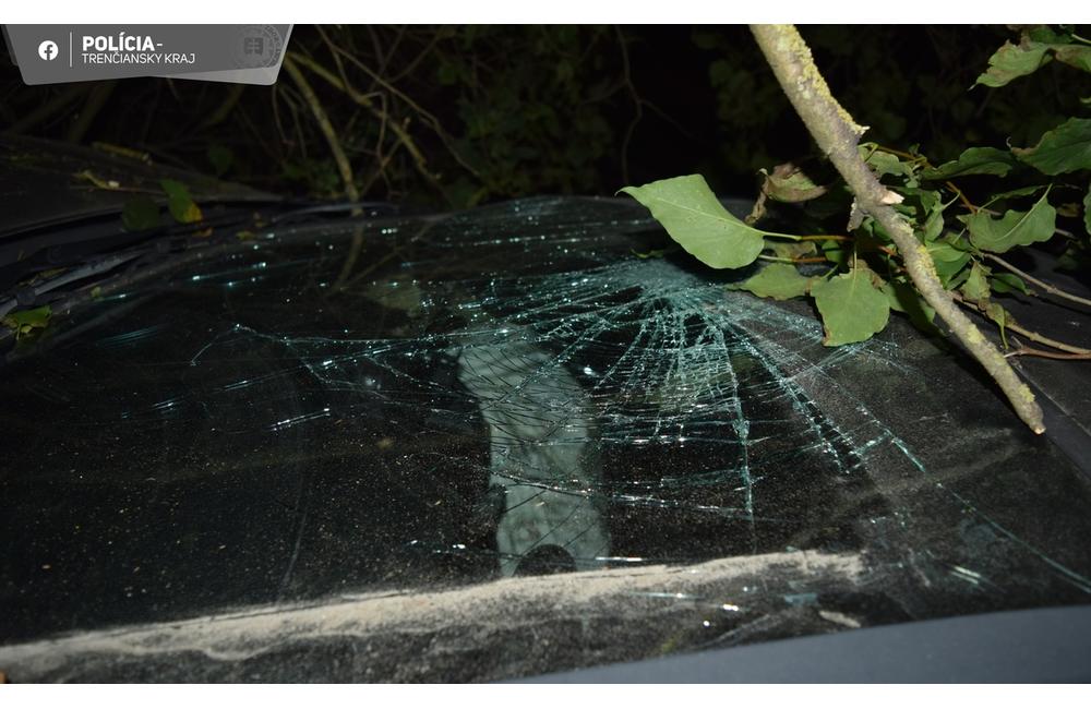 FOTO: Polícia našla pri Brezovej pod Bradlom auto zaparkované v kríkoch, foto 5