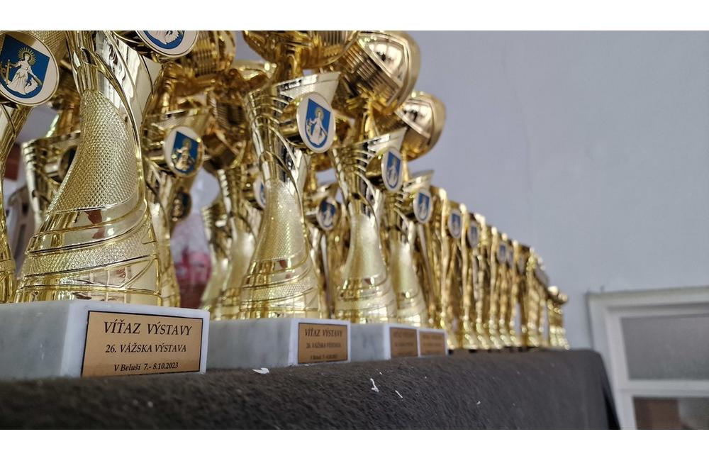 FOTO: Cez víkend sa v Trenčianskom kraji konali hodové slávnosti aj výstava exotického vtáctva, foto 9