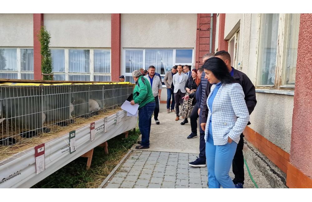 FOTO: Cez víkend sa v Trenčianskom kraji konali hodové slávnosti aj výstava exotického vtáctva, foto 12