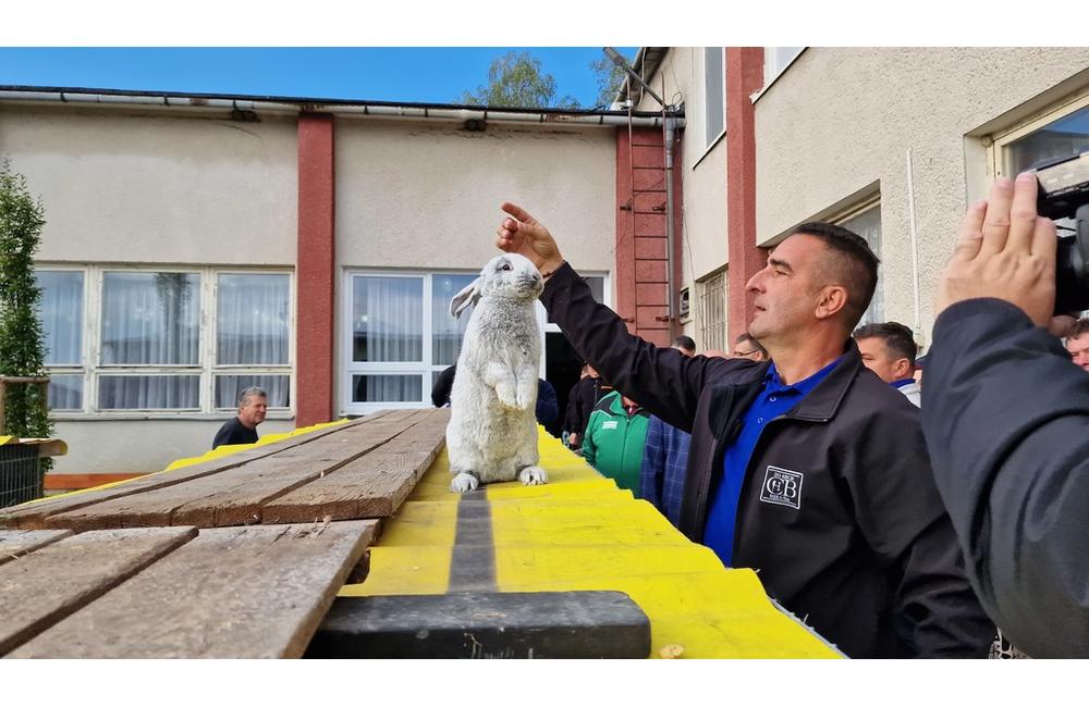 FOTO: Cez víkend sa v Trenčianskom kraji konali hodové slávnosti aj výstava exotického vtáctva, foto 13